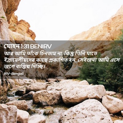 Picture 02 - যোহন 1:31 BENIRV - আর আমি তাঁকে - Bible Verse Picture