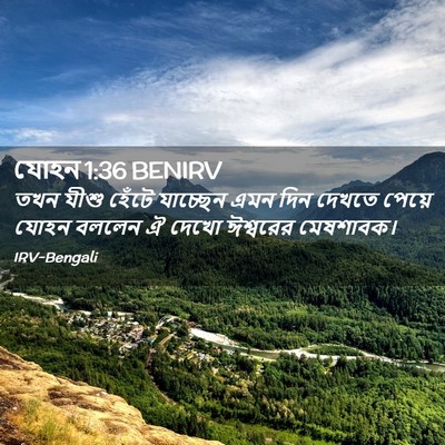 Picture 02 - যোহন 1:36 BENIRV - তখন যীশু হেঁটে - Bible Verse Picture
