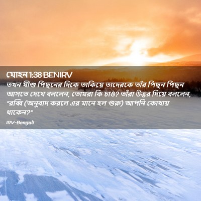 Picture 02 - যোহন 1:38 BENIRV - তখন যীশু পিছনের - Bible Verse Picture
