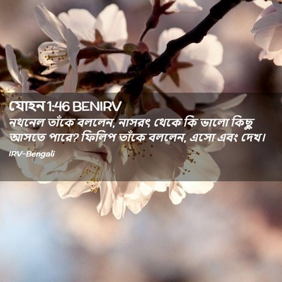 Picture 02 - যোহন 1:46 BENIRV - নথনেল তাঁকে বললেন, - Bible Verse Picture