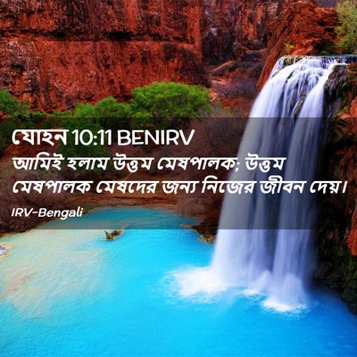 Picture 02 - যোহন 10:11 BENIRV - আমিই হলাম উত্তম - Bible Verse Picture