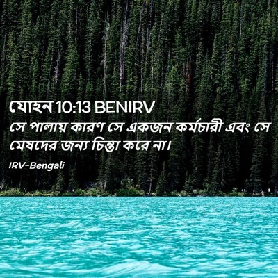 Picture 02 - যোহন 10:13 BENIRV - সে পালায় কারণ সে - Bible Verse Picture