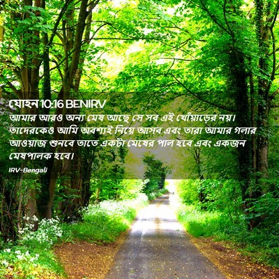 Picture 02 - যোহন 10:16 BENIRV - আমার আরও অন্য মেষ - Bible Verse Picture