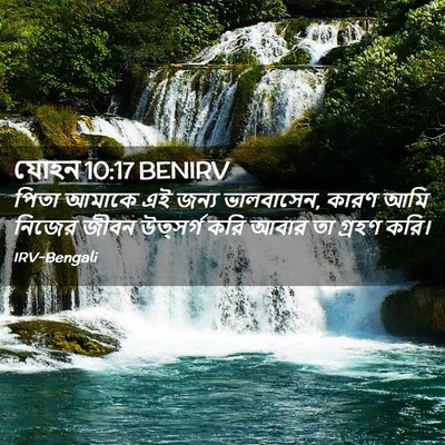 Picture 02 - যোহন 10:17 BENIRV - পিতা আমাকে এই জন্য - Bible Verse Picture