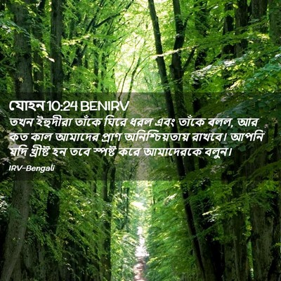 Picture 02 - যোহন 10:24 BENIRV - তখন ইহুদীরা তাঁকে - Bible Verse Picture