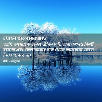 Picture 02 - যোহন 10:28 BENIRV - আমি তাদেরকে অনন্ত - Bible Verse Picture