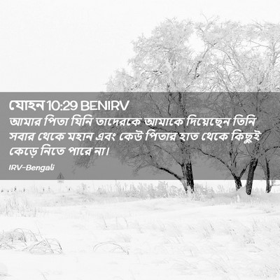 Picture 02 - যোহন 10:29 BENIRV - আমার পিতা যিনি - Bible Verse Picture