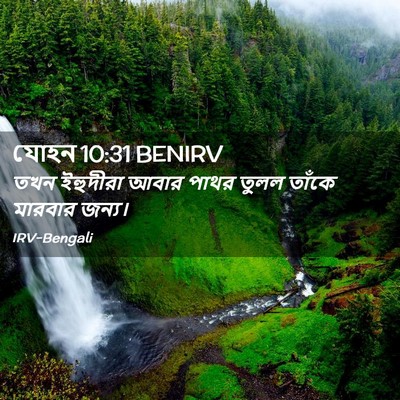 Picture 02 - যোহন 10:31 BENIRV - তখন ইহুদীরা আবার - Bible Verse Picture