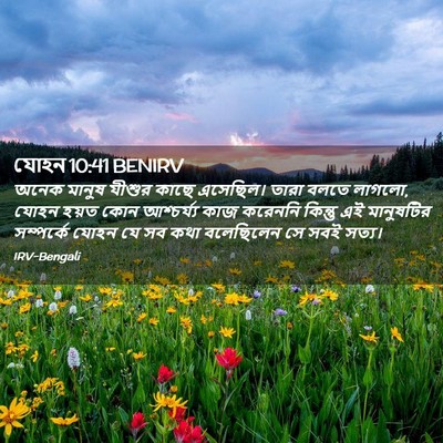 Picture 02 - যোহন 10:41 BENIRV - অনেক মানুষ যীশুর - Bible Verse Picture