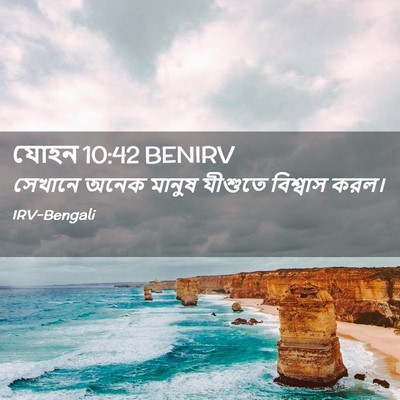 Picture 02 - যোহন 10:42 BENIRV - সেখানে অনেক মানুষ - Bible Verse Picture