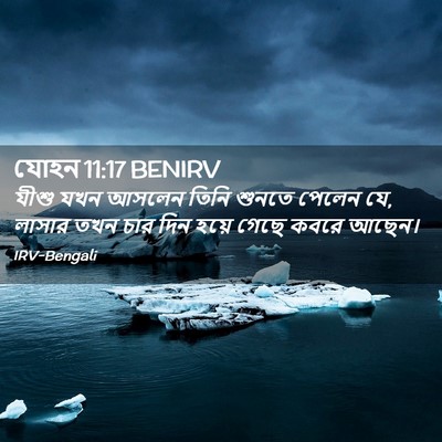 Picture 02 - যোহন 11:17 BENIRV - যীশু যখন আসলেন - Bible Verse Picture