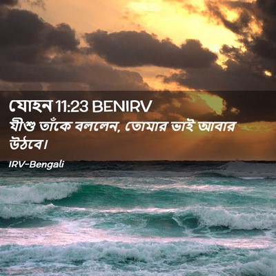 Picture 02 - যোহন 11:23 BENIRV - যীশু তাঁকে বললেন, - Bible Verse Picture