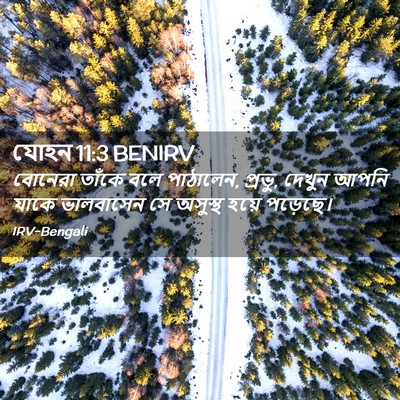 Picture 02 - যোহন 11:3 BENIRV - বোনেরা তাঁকে বলে - Bible Verse Picture