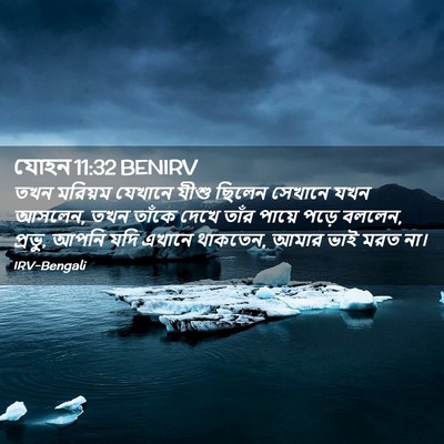 Picture 02 - যোহন 11:32 BENIRV - তখন মরিয়ম যেখানে - Bible Verse Picture