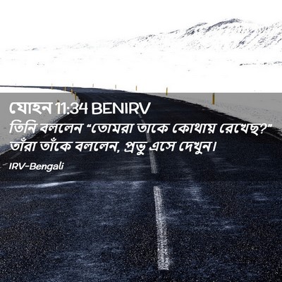 Picture 02 - যোহন 11:34 BENIRV - তিনি বললেন “তোমরা - Bible Verse Picture