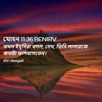 Picture 02 - যোহন 11:36 BENIRV - তখন ইহূদিরা বলল, - Bible Verse Picture