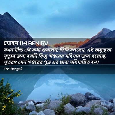 Picture 02 - যোহন 11:4 BENIRV - যখন যীশু এই কথা - Bible Verse Picture