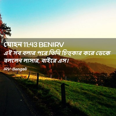 Picture 02 - যোহন 11:43 BENIRV - এই সব বলার পরে তিনি - Bible Verse Picture