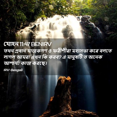 Picture 02 - যোহন 11:47 BENIRV - তখন প্রধান যাজকগণ - Bible Verse Picture