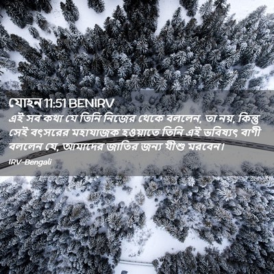 Picture 02 - যোহন 11:51 BENIRV - এই সব কথা যে তিনি - Bible Verse Picture