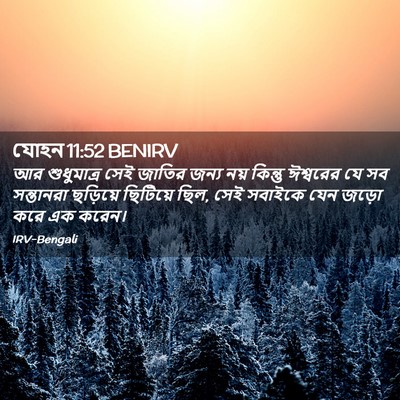 Picture 02 - যোহন 11:52 BENIRV - আর শুধুমাত্র সেই - Bible Verse Picture