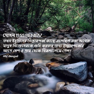 Picture 02 - যোহন 11:55 BENIRV - তখন ইহূদিদের - Bible Verse Picture