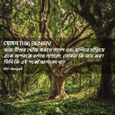 Picture 02 - যোহন 11:56 BENIRV - তারা যীশুর খোঁজ - Bible Verse Picture