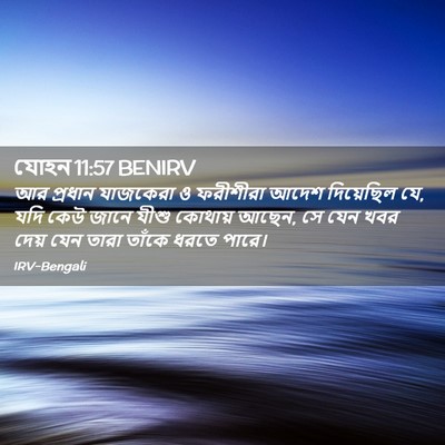 Picture 02 - যোহন 11:57 BENIRV - আর প্রধান যাজকেরা - Bible Verse Picture