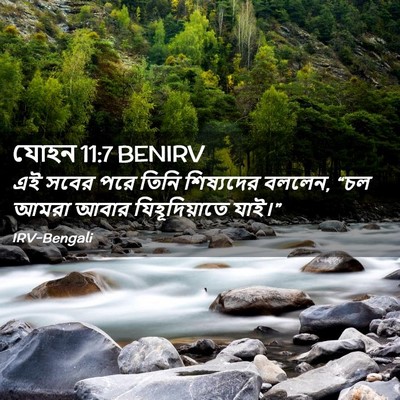 Picture 02 - যোহন 11:7 BENIRV - এই সবের পরে তিনি - Bible Verse Picture