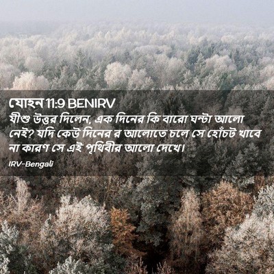 Picture 02 - যোহন 11:9 BENIRV - যীশু উত্তর দিলেন, - Bible Verse Picture