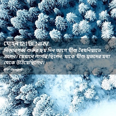 Picture 02 - যোহন 12:1 BENIRV - নিস্তারপর্ব্ব - Bible Verse Picture