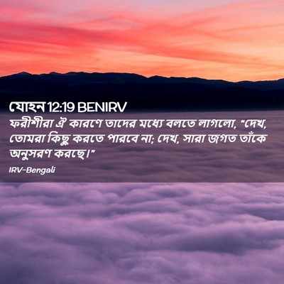 Picture 02 - যোহন 12:19 BENIRV - ফরীশীরা ঐ কারণে - Bible Verse Picture