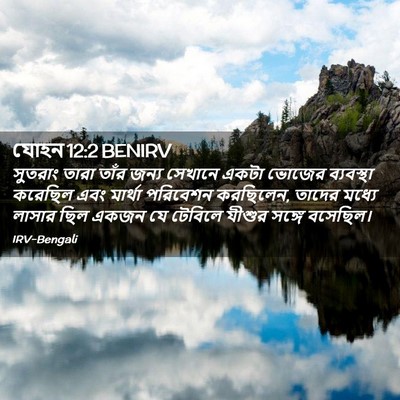 Picture 02 - যোহন 12:2 BENIRV - সুতরাং তারা তাঁর - Bible Verse Picture