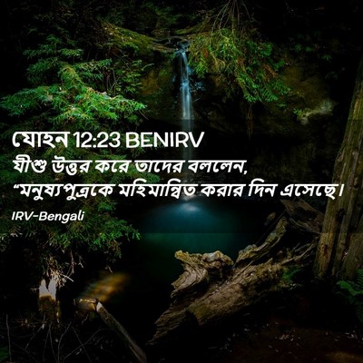 Picture 02 - যোহন 12:23 BENIRV - যীশু উত্তর করে - Bible Verse Picture