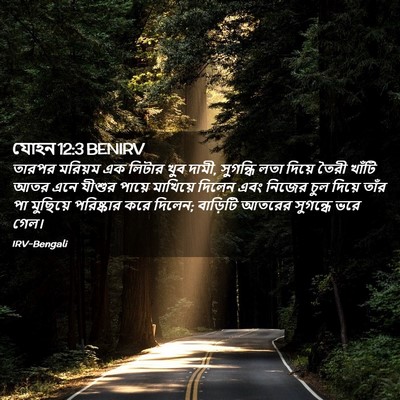 Picture 02 - যোহন 12:3 BENIRV - তারপর মরিয়ম এক - Bible Verse Picture