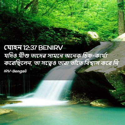 Picture 02 - যোহন 12:37 BENIRV - যদিও যীশু তাদের - Bible Verse Picture