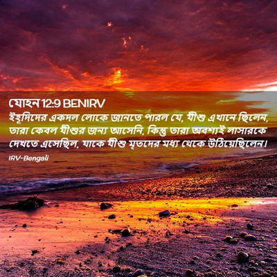 Picture 02 - যোহন 12:9 BENIRV - ইহূদিদের একদল - Bible Verse Picture