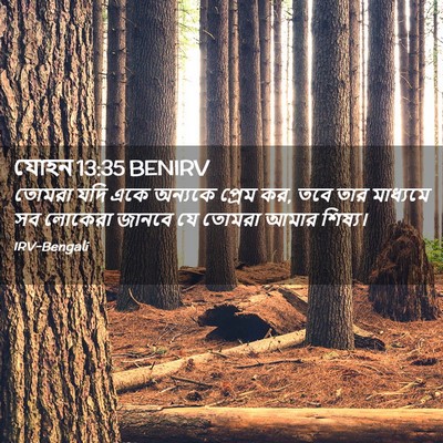 Picture 02 - যোহন 13:35 BENIRV - তোমরা যদি একে - Bible Verse Picture