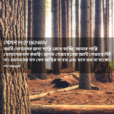 Picture 02 - যোহন 14:27 BENIRV - আমি তোমাদের জন্য - Bible Verse Picture
