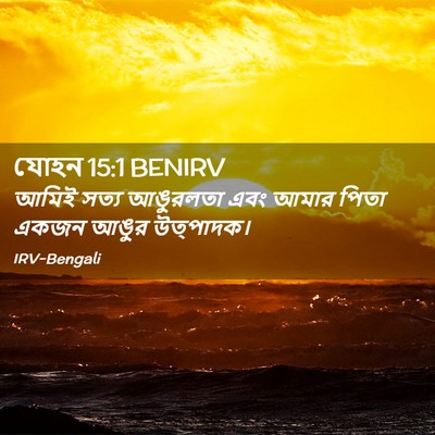 Picture 02 - যোহন 15:1 BENIRV - আমিই সত্য আঙুরলতা - Bible Verse Picture