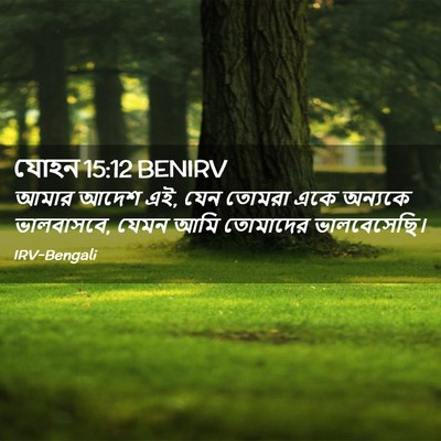 Picture 02 - যোহন 15:12 BENIRV - আমার আদেশ এই, যেন - Bible Verse Picture