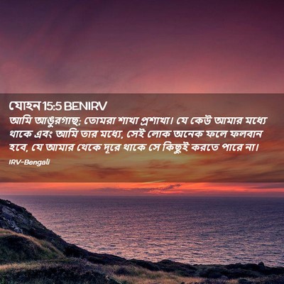 Picture 02 - যোহন 15:5 BENIRV - আমি আঙুরগাছ; তোমরা - Bible Verse Picture