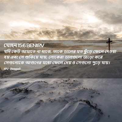 Picture 02 - যোহন 15:6 BENIRV - যদি কেউ আমাতে না - Bible Verse Picture