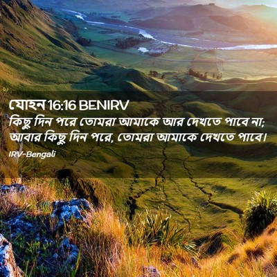 Picture 02 - যোহন 16:16 BENIRV - কিছু দিন পরে তোমরা - Bible Verse Picture