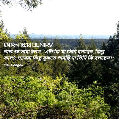Picture 02 - যোহন 16:18 BENIRV - অতএব তারা বলল, “এটা - Bible Verse Picture