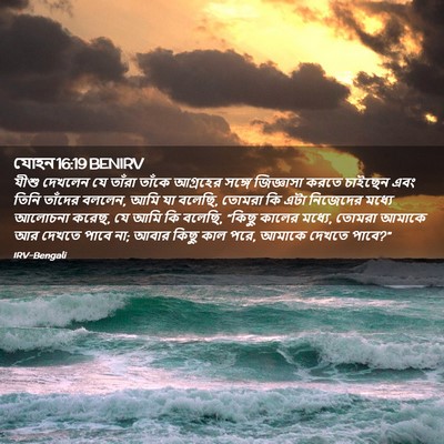 Picture 02 - যোহন 16:19 BENIRV - যীশু দেখলেন যে - Bible Verse Picture
