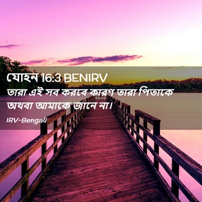 Picture 02 - যোহন 16:3 BENIRV - তারা এই সব করবে - Bible Verse Picture