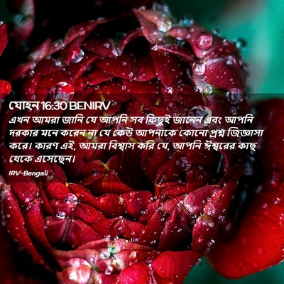 Picture 02 - যোহন 16:30 BENIRV - এখন আমরা জানি যে - Bible Verse Picture