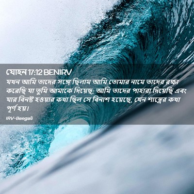 Picture 02 - যোহন 17:12 BENIRV - যখন আমি তাদের - Bible Verse Picture
