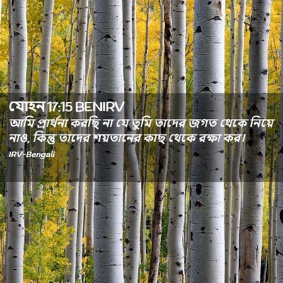 Picture 02 - যোহন 17:15 BENIRV - আমি প্রার্থনা - Bible Verse Picture